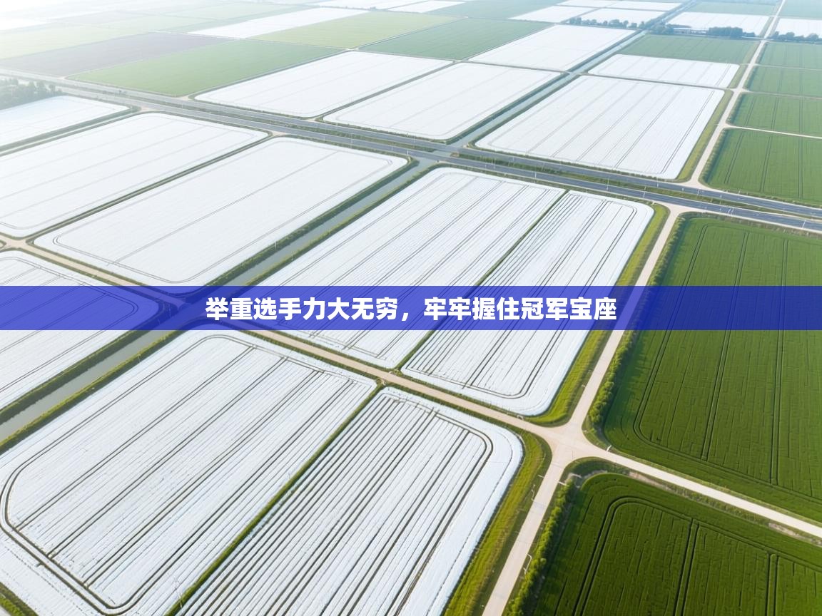 开云体育app下载安卓-举重选手力大无穷,牢牢握住冠军宝座 第2张