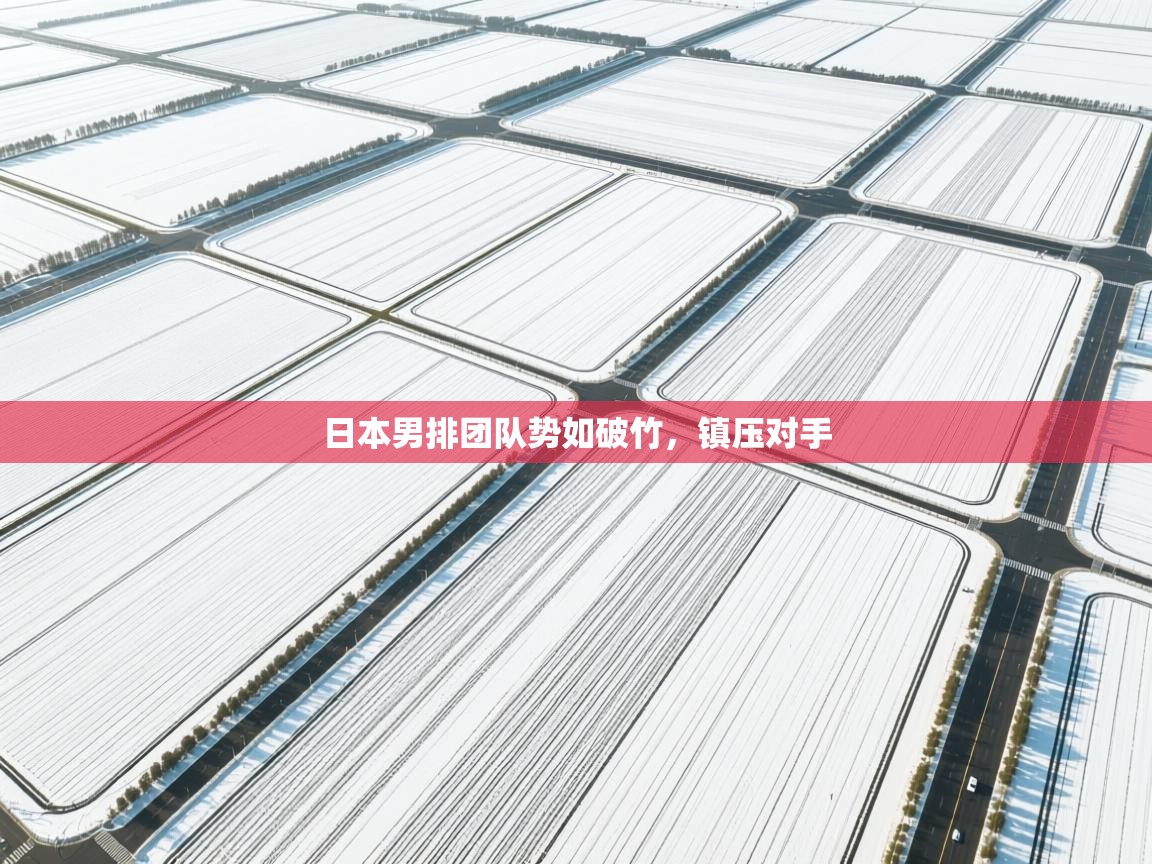 kaiyun体育入口-日本男排团队势如破竹，镇压对手  第4张