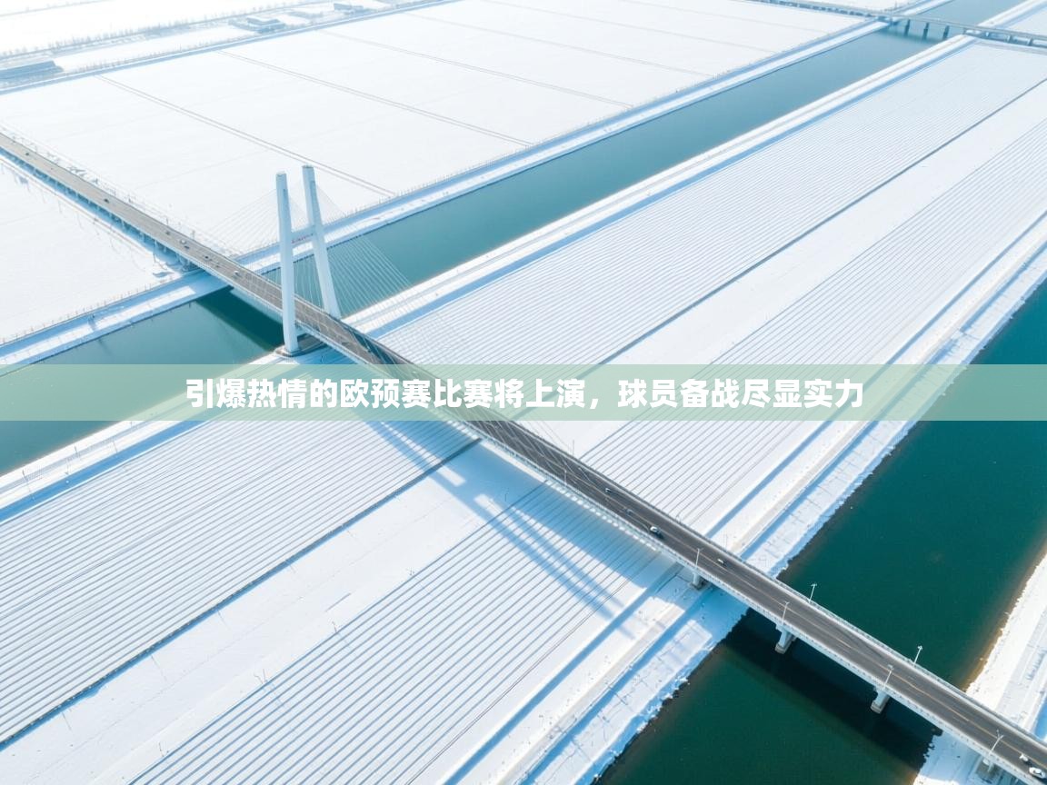 开云体育安装失败怎么办-引爆热情的欧预赛比赛将上演,球员备战尽显实力 第2张