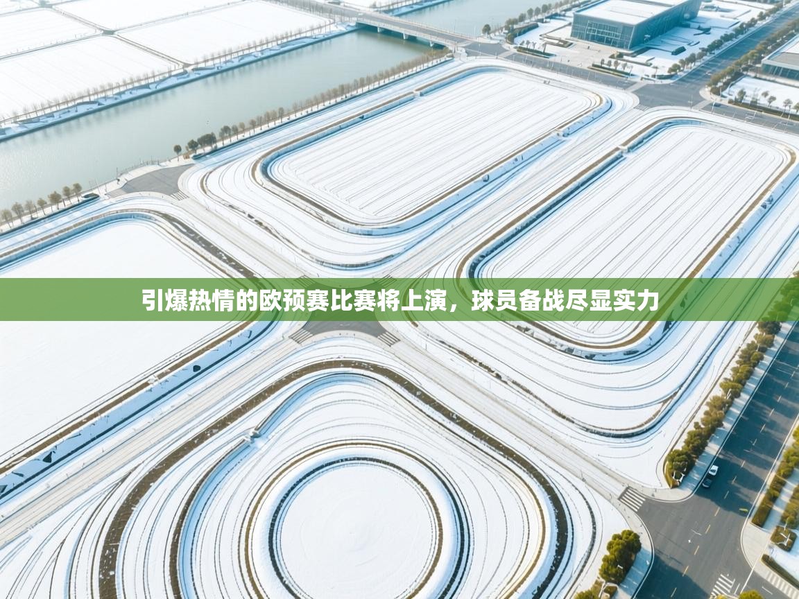 开云体育安装失败怎么办-引爆热情的欧预赛比赛将上演,球员备战尽显实力 第3张