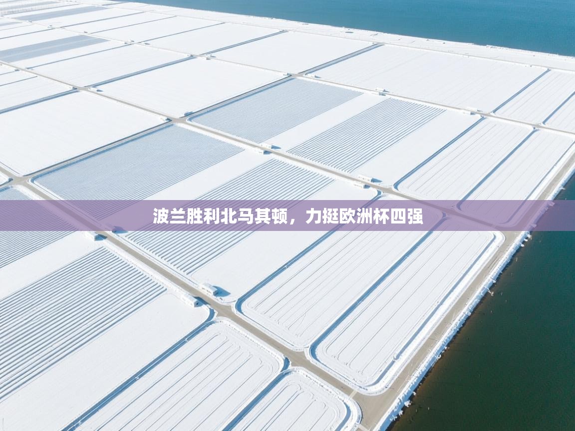 开云体育安装失败怎么办-波兰胜利北马其顿,力挺欧洲杯四强 第4张