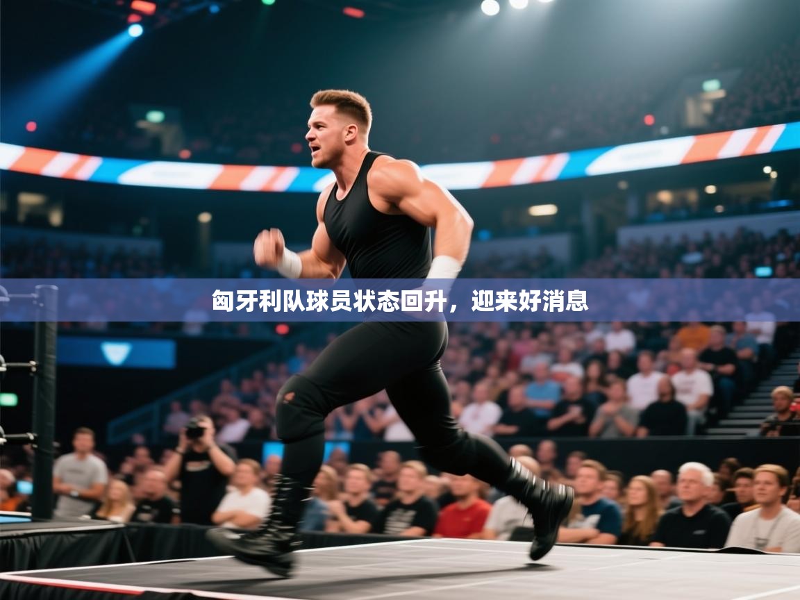 开云体育在线观看-匈牙利队球员状态回升,迎来好消息 第3张